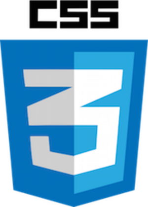 css3